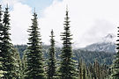Image by Jordan Plihal