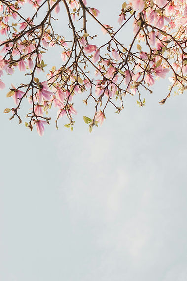 Image by Aedrian