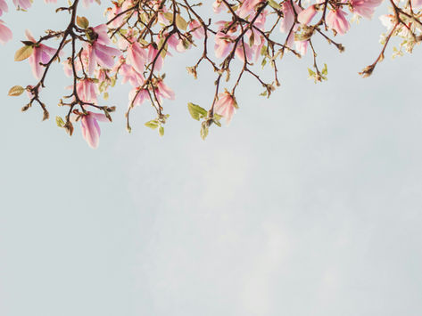 Saturday Writing Prompt - 11th May - Write About Your Favorite Thing About Spring