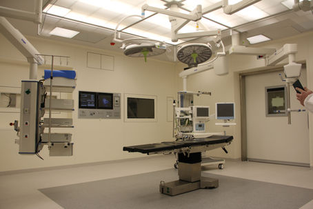 Medical and Healthcare