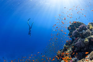 Image by NEOM