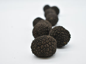 Pubblicati i Report finali del GO TASTOS