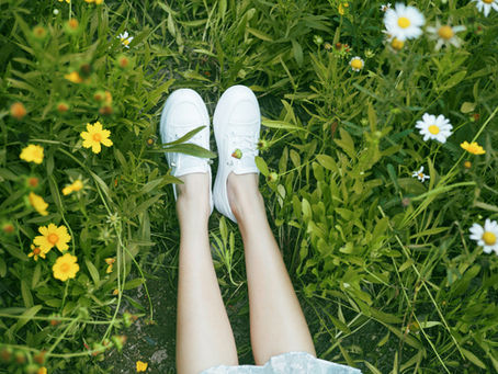 Nature: The Next Generation - published