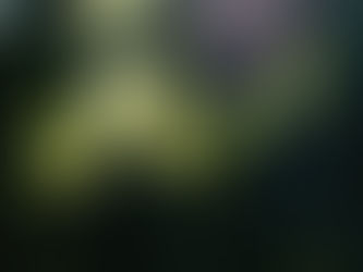 Growing in the Light
