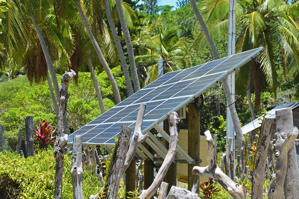 Off grid solar panels next to palm trees.