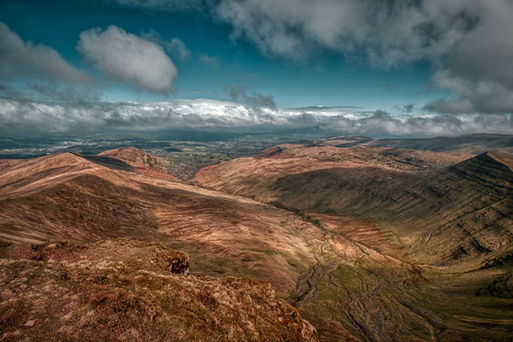 Image by Michael Austin