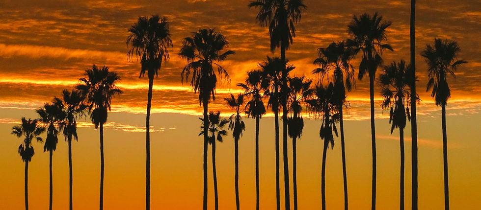 어디에 살 것인가 이것이 문제로다