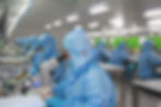 industrial organic scavenger system for process water purification