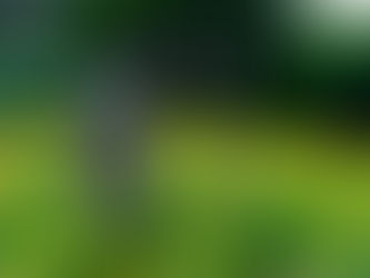 HOPE SPEAKS OF PROMISE