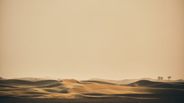 2022.03.24 申命記13-14章「警惕你的好奇心，要定睛於神」