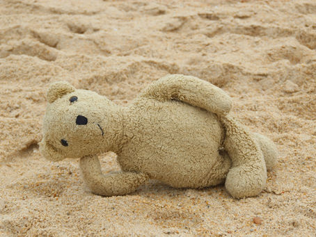 Welcome Back Campers!!