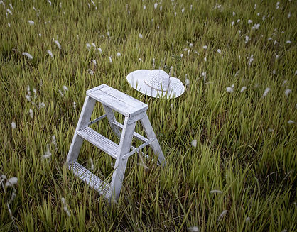 Image by Michele DeYoung