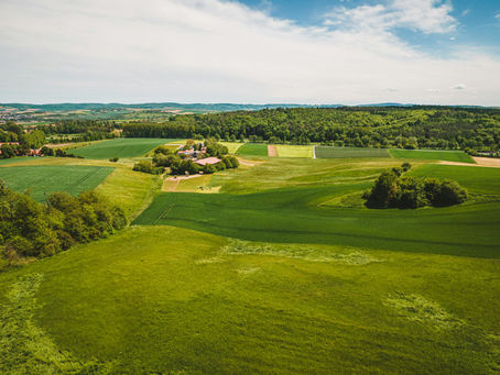 マルコによる福音書8章34-35節
