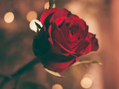 It’s Not That Serious: Thoughts on Being Single