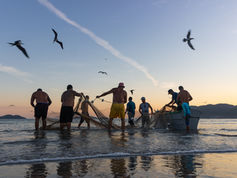 The evolution of marine biomass: Past, present, and future of fish in the oceans