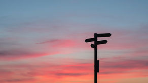 The Fifth Sign of Soul Formation - the 'emergence of conscience'