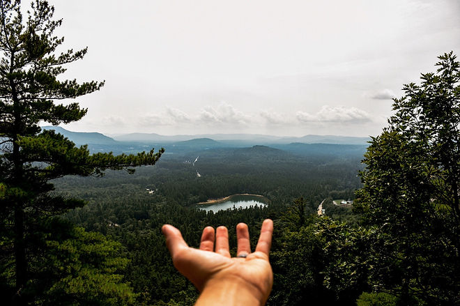Image by Drew Saurus