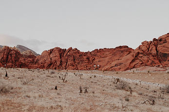 Image by Kenny Eliason