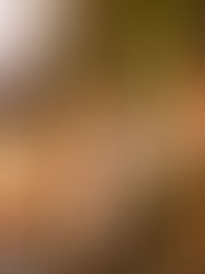 Abierta convocatoria para elegir representante de comunidades indígenas ante Consejo Car