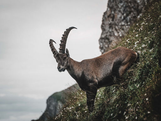 今日の星模様-山羊座3度
