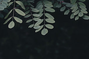 Image by Emre Gencer
