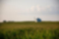 grain bin
