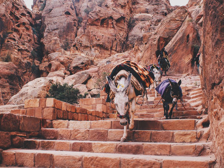 From the King of Moab to the King of Kings