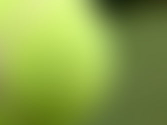 Wimbledon 2018