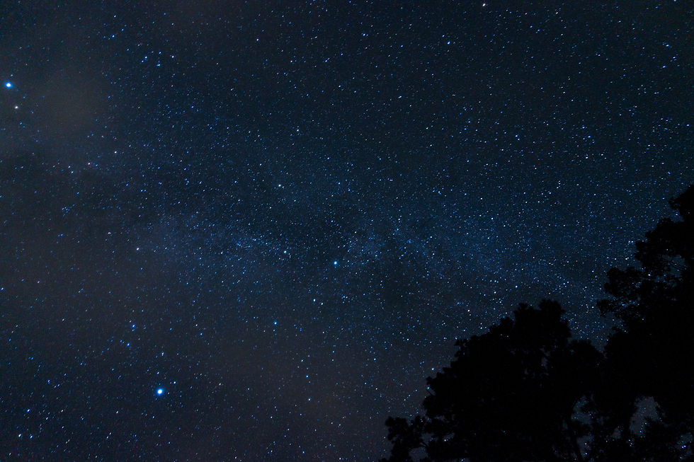 Image by Drew Jones