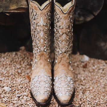 Image by Amy Humphries