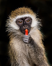 Image by David Clode