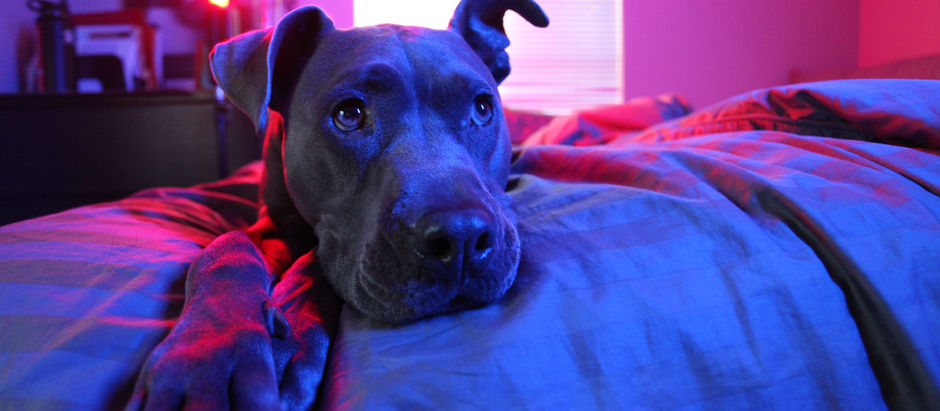 What We Might Learn from Self Isolation