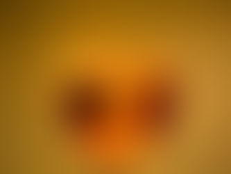 Worth More Than Gold