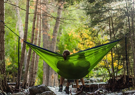Image by Spring Fed Images
