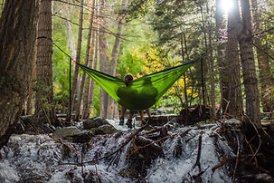Image by Spring Fed Images