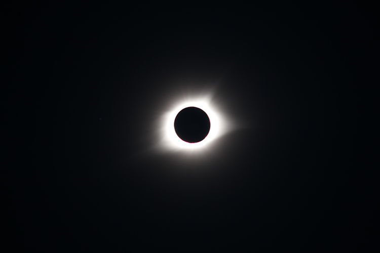 Image by Ryan Olson