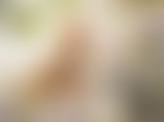 Bachelor Party Planning 101: A Guide for the Best Man