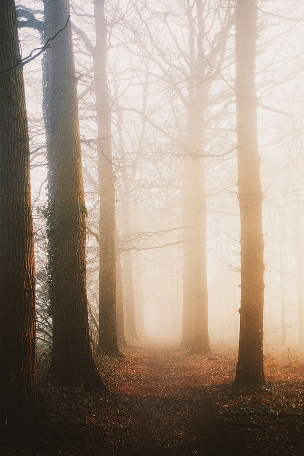 Image by Ingmar H