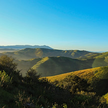 Image by David Barajas