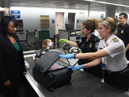 Moving to the USA - personal and household effect customs clearance