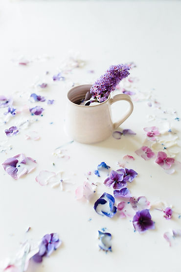 Image by Magda Lukas