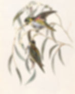 ree