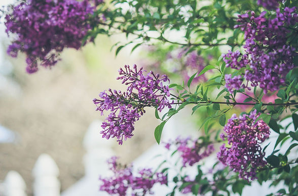 Image by Jessica Fadel