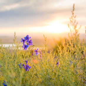 What To Expect From Your Initial Meeting With Us Your Personal Family Lawyer