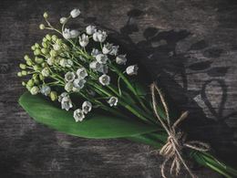 Un bouquet de muguet