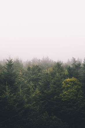Image by Blake Cheek