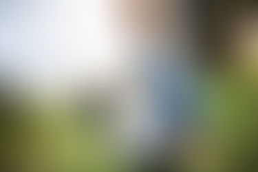 Bir Pamuk Şekerinin Peşine Takılmak !