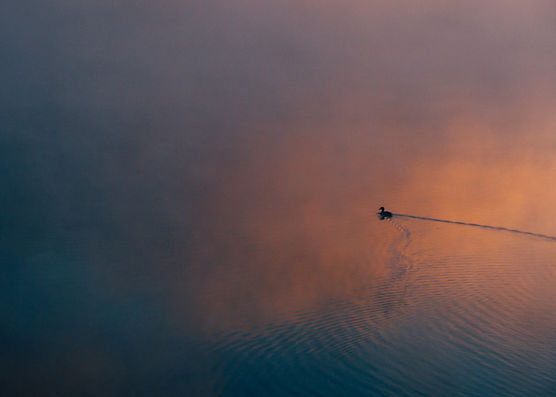 Image by Aaron Burden