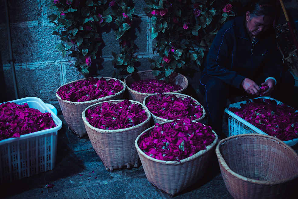 "Colorati piatti dello Yunnan arricchiti con fiori commestibili variopinti e un assortimento di funghi selvatici raccolti localmente, simboli della diversa biodiversità e della ricca tradizione culinaria della regione."