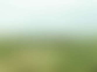 ما هو الإكراميسيل (تعويض الاحتلال غير القانوني)؟